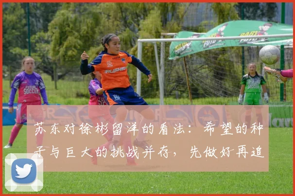 苏东对徐彬留洋的看法：希望的种子与巨大的挑战并存，先做好再追求完美